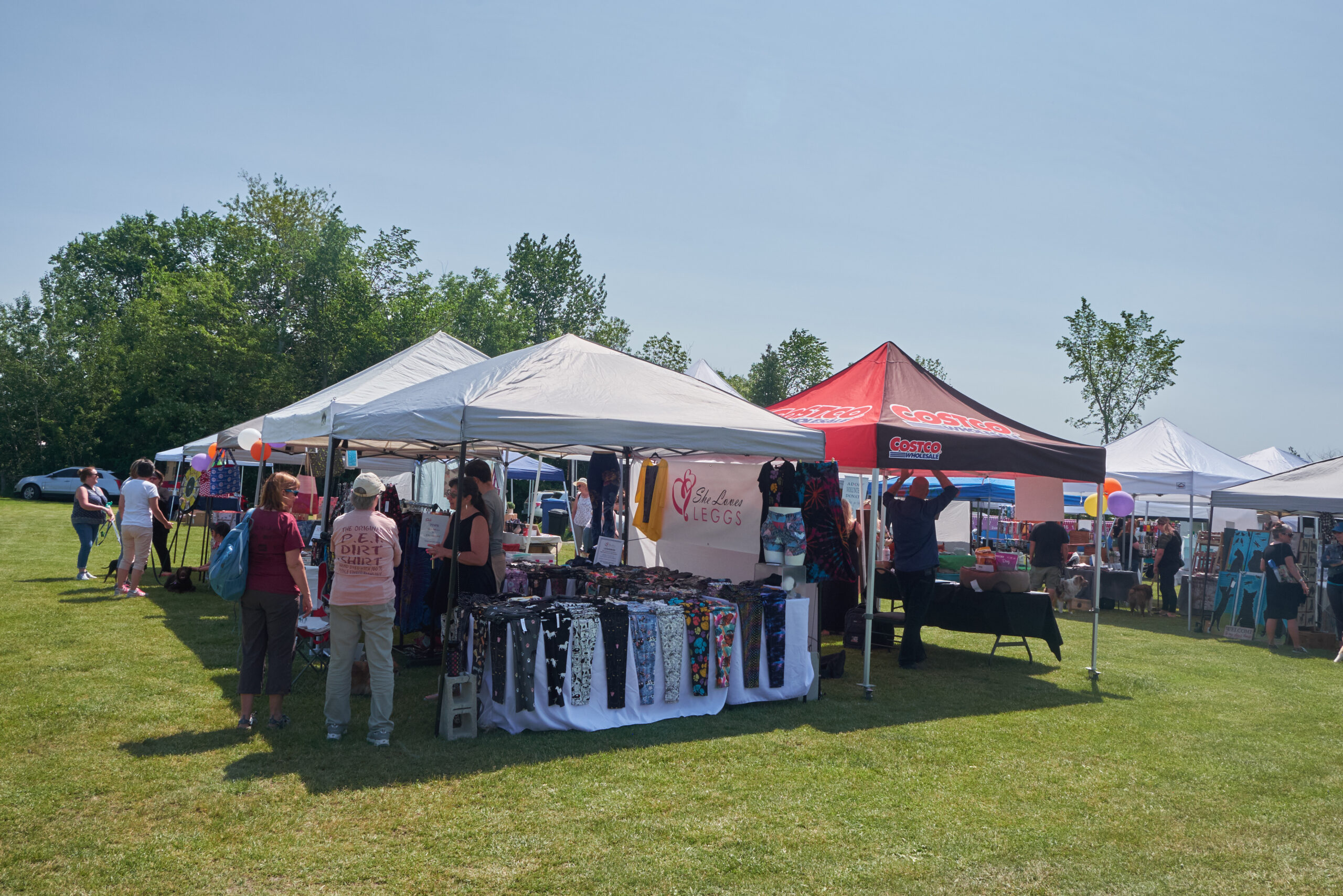 A photo of some vendors from a previous Canine Carnival 